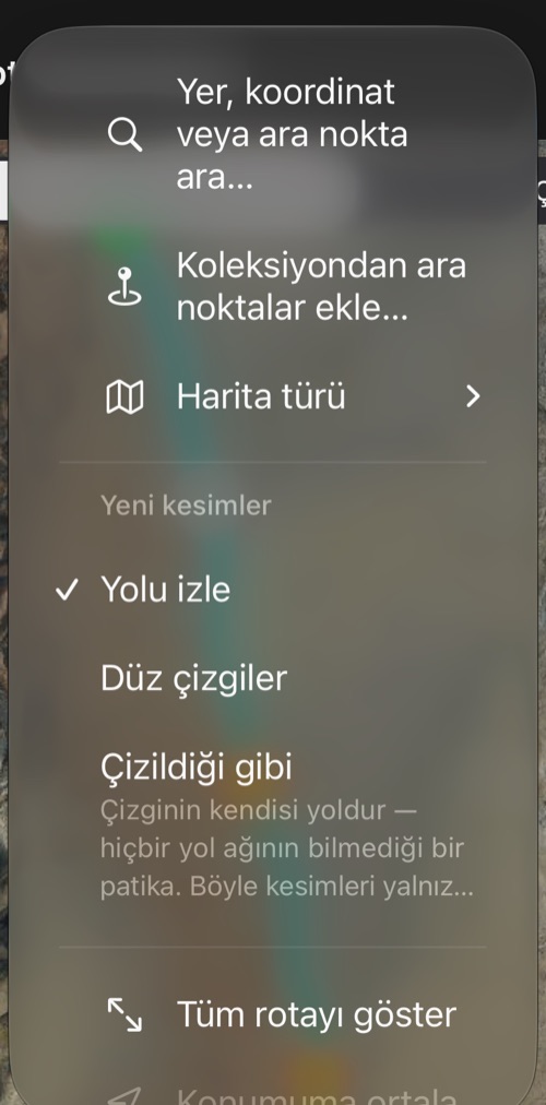 Rota düzenleyicinin ⋯ menüsü: arama, ara nokta ekleme, harita türü, yeni kesimlerin türü ve Tüm rotayı göster